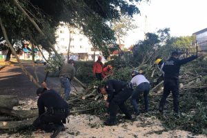 Reporta Protección Civil afectaciones en 13 municipios de Veracruz por evento norte