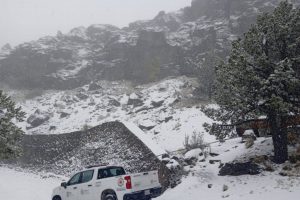 Cofre de Perote, Veracruz registra visita de 2 mil 500 turistas en primeras nevadas