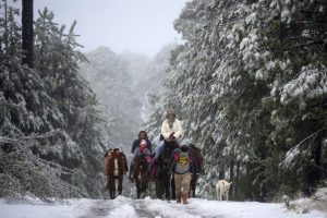 Pronostican el día más frío de la temporada invernal en Veracruz