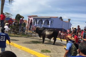 Estas son las actividades en las Fiestas de la Candelaria en Tlacotalpan, Veracruz; será obligatorio el cubrebocas