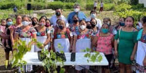 El gobernador, Mauricio Vila impulsa el cultivo del achiote, como una opción más para mejorar la economía de las familias yucatecas