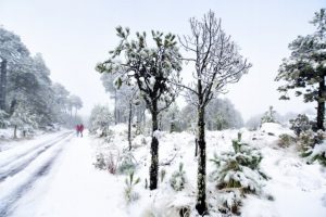 Cae la quinta nevada en el Cofre de Perore; podría haber lluvia ingelante y cencellada