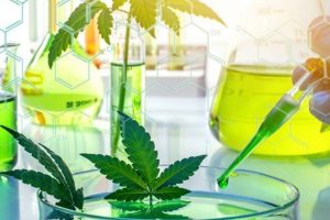 UNAM lanza diplomado sobre uso medicinal del cannabis