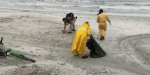 Grumos de hidrocarburo aparecen en playas de Campeche