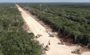 Publican decreto de expropiación de 231 terrenos para tramo 5 del Tren Maya