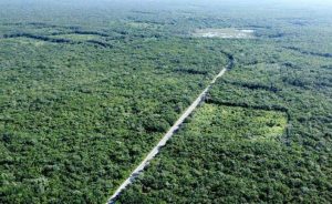 Acuerdo para conservar la Selva Maya generará un desarrollo sustentable en Quintana Roo: AMPI