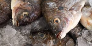 Profeco alerta por ‘trampa china’ en venta de pescado