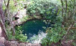 Nuevo trazo del Tren Maya, pasará encima del sistema de cuevas ‘Garra de Jaguar’: Coparmex Riviera Maya
