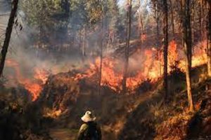 Reportan incendio forestal en Maltrata, Veracruz