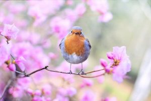 ¿Cuándo inicia la primavera en México?