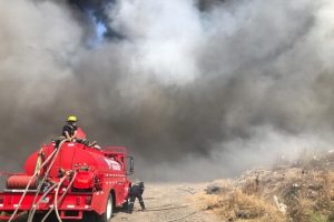 Más de 190 incendios de pastizales en Veracruz, reportan: Alfonso García Cardona