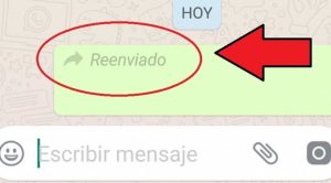 WhatsApp: cómo enviar un mensaje sin que aparezca la palabra ‘reenviado’