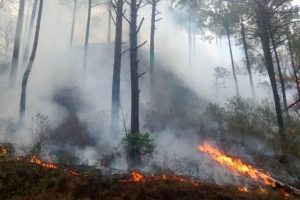 Incendio registrado en Sierra Santiago, Nuevo León, es el más grande de México