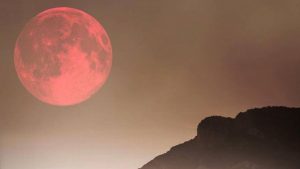 Luna rosa 2022: ¿Qué día podrás verla?