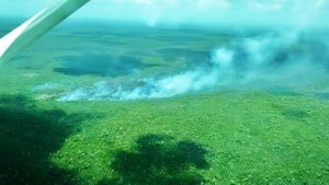 Incendios forestales en Quintana Roo bajo control