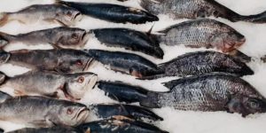 IMSS Yucatán emite recomendaciones al consumir pescados y mariscos