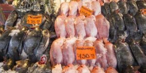 Alertan por ofertas de pescado ‘falso’ en Cuaresma
