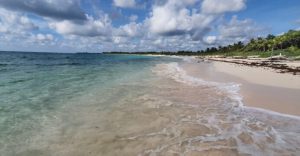 Chiquila e Isla Mujeres libres de sargazo