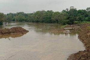 Dos ríos se encuentran en alerta por lluvias en Tabasco: Protección Civil