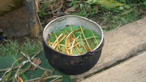 Extranjeros pagan hasta 10 mil pesos en ceremonia clandestina para consumir ayahuasca en Quintana Roo