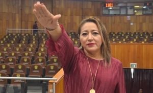 Diputada suplente de Álamo, Veracruz rinde protesta con salón vacío en el Congreso