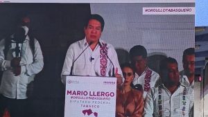 ‘Como dice Lucho, Tú dale’, le dijo el dirigente de Morena a Mario Llergo, para seguir línea crítica contra consejeros del INE