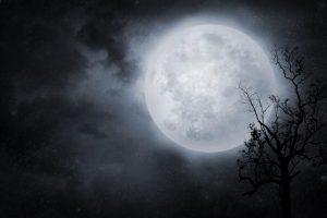 ‘Luna fría’, el último evento astronómico en 2022 ¿Cuándo se verá?