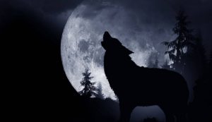 Luna llena de Lobo 2023: cuándo es, dónde y cómo verla