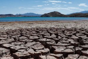 90% de la humanidad está en riesgo por sequías, asegura estudio