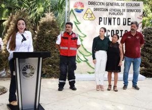Constata Ana Patricia Peralta arranque de campaña de acopio de árboles de navidad 2023