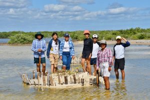 Estudiantes de la UACH se suman acciones de restauración, conservación y educación ambiental en Cozumel