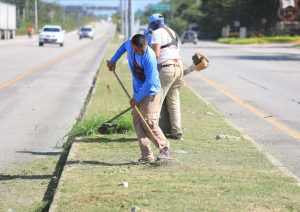 Gobierno de Solidaridad refuerza limpieza en tramos carreteros