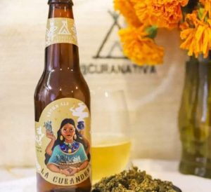 Produce Yucatan »La curandera’, cerveza artesanal con cannabis y 4.5 grados de alcohol