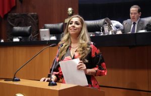 Solicitá Marybel Villegas a Gobernación reconsiderar visas digitales para turistas brasileños