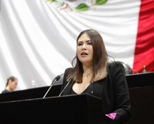 Se aprueba por unanimidad la reforma impulsada por Anahí González, para castigar los ataques con ácido