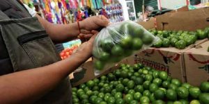 Sube de precio el limón, el cilantro y el rábano en Yucatán
