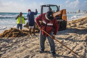 Sargazo invade las playas de Quintana Roo en plena Semana Santa