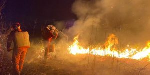 Atento llamado a la prevención de incendios en Yucatán: Procivy