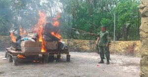 Incinera Sedena y FGR 308 kilogramos de narcóticos en Quintana Roo
