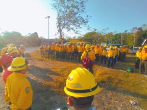 Quintana Roo mantiene bajo control los incendios forestales gracias a la colaboración interinstitucional