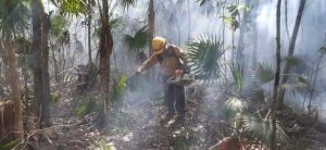 Mujeres valientes del Equipo Estatal de Manejo de Incidentes y combatientes, trabajan para contener el fuego y proteger la flora y fauna de Lázaro Cárdenas