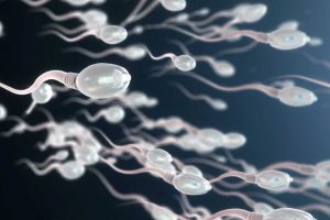 Estudio revela las afectaciones que sufren los espermatozoides de hombres que tuvieron Covid-19