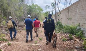 Realiza FGE Quintana Roo operativo de búsqueda de personas desaparecidas en Benito Juárez; localizan tres cuerpos