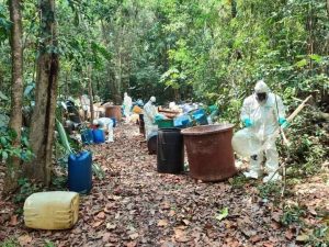 Desmantelan laboratorio de drogas sintéticas en Quintana Roo