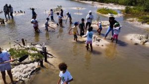 Jóvenes por la Conservación aprenden a restaurar el ecosistema del manglar