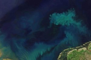 Cambio climático altera el color del océano; refleja cambios en los ecosistemas