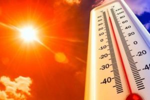 Julio ha sido el mes más caluroso en el planeta desde que hay registros, revela la OMM
