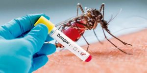 Cuídate del dengue, se reportan 7 casos diarios en Yucatán