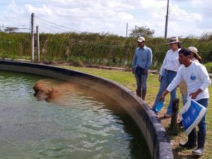Gobierno de Mara Lezama invertirá 6 millones 650 mil pesos para apoyo a la acuacultura y pesca: SEDARPE
