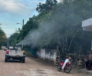 Sin tregua contra el dengue, continúa SESA acciones preventivas